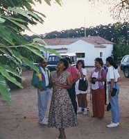 7 people stand under a large leafed tree in front of a white house